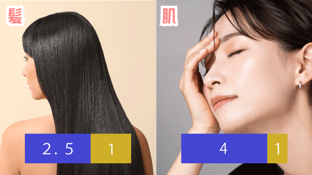 肌と髪における水分・油分の理想対比